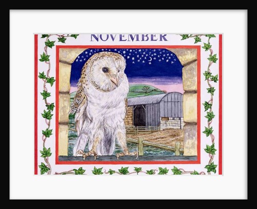 November by Catherine Bradbury