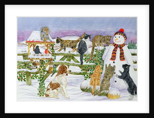 The Snowman and his Friends by Catherine Bradbury