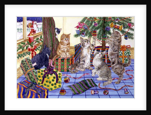 The Cats' Christmas by Catherine Bradbury