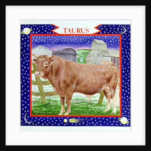 Taurus by Catherine Bradbury