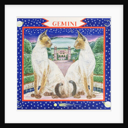 Gemini by Catherine Bradbury