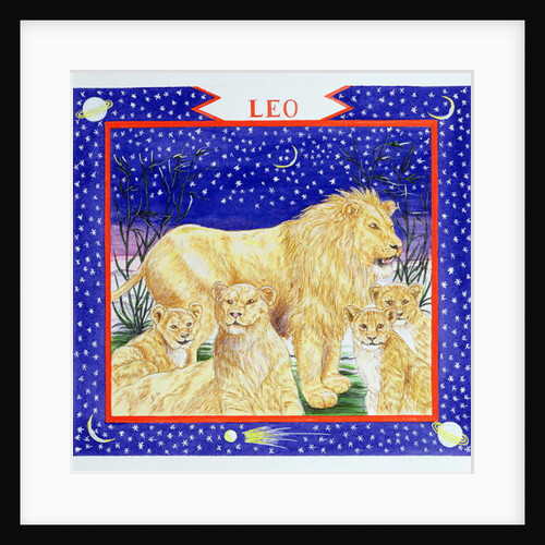 Leo by Catherine Bradbury