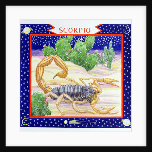 Scorpio by Catherine Bradbury
