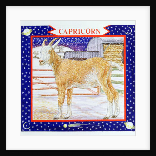 Capricorn by Catherine Bradbury