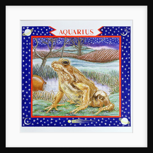Aquarius by Catherine Bradbury