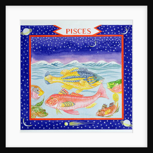 Pisces by Catherine Bradbury