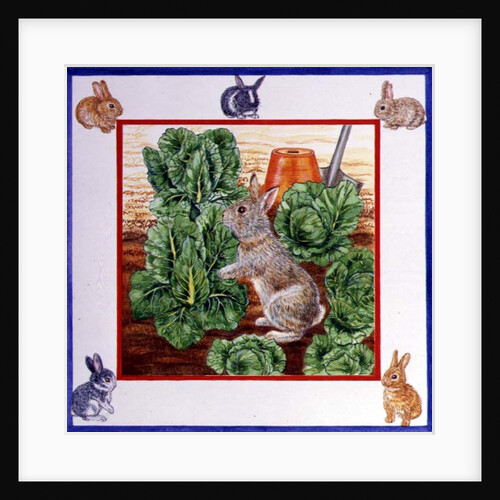 A Rabbit in the Cabbage Patch by Catherine Bradbury