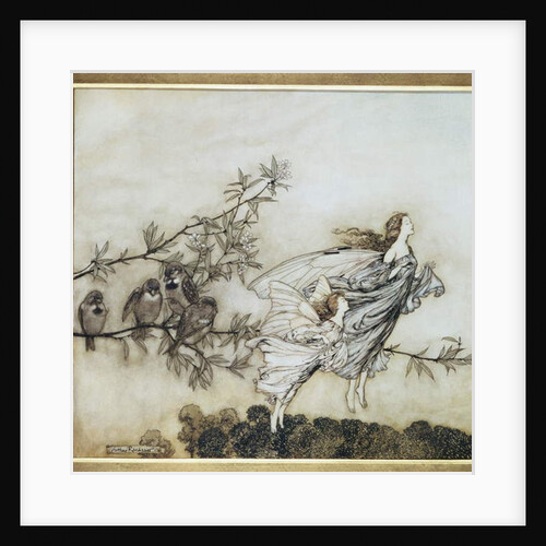 The Fairies have their Tiff with the Birds, 1906 by Arthur Rackham