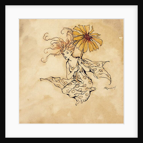 Daisy Fairy by Arthur Rackham