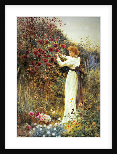 Roses, 1867 by Thomas James Lloyd