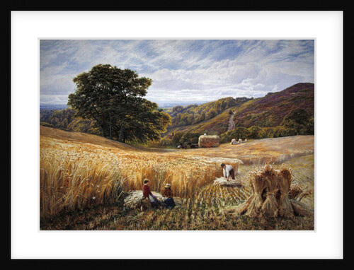 Harvest time near Holmbury Hill, Surrey, 1865 by George Vicat Cole