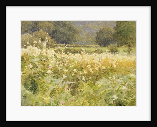 Meadowsweet by Walter Frederick Roofe Tyndale