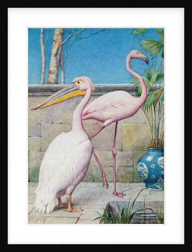 Pelican and Flamingo by Henry Stacy Marks