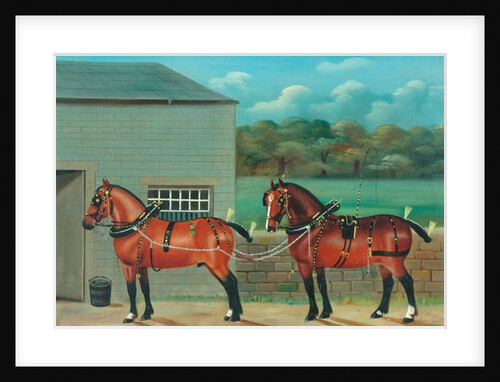 Two Horses in Harness, c.1910 by Unknown Artist