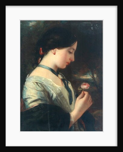 An English Rose by Charles Baxter