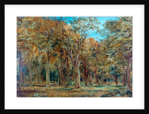 Sherwood Forest by Richard Sebastian Bond