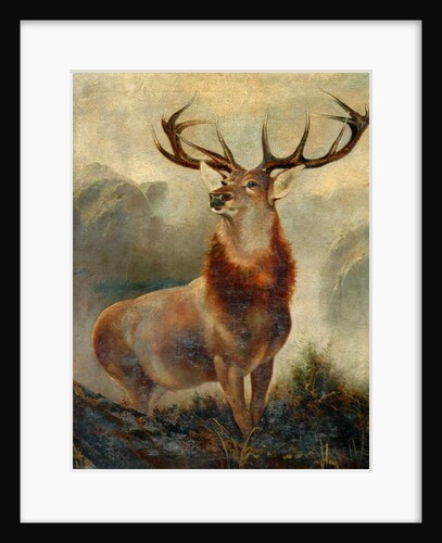 Stag At Bay by James Ford