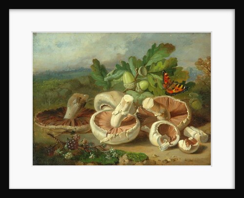 Still Life With Mushrooms Etc., 1859 by Unknown Artist