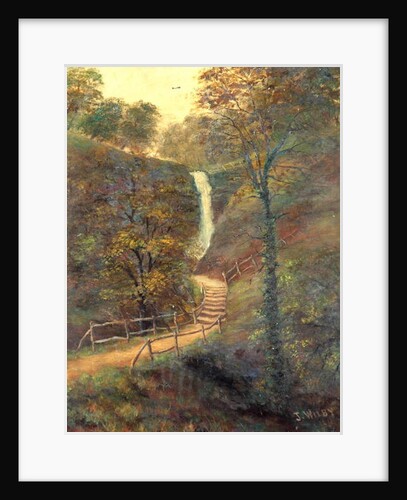 Shanklin Chine, Isle of Wight , 1911 by J. Wilby