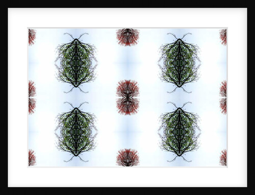Unnatural 110 by Giovanni Cafagna