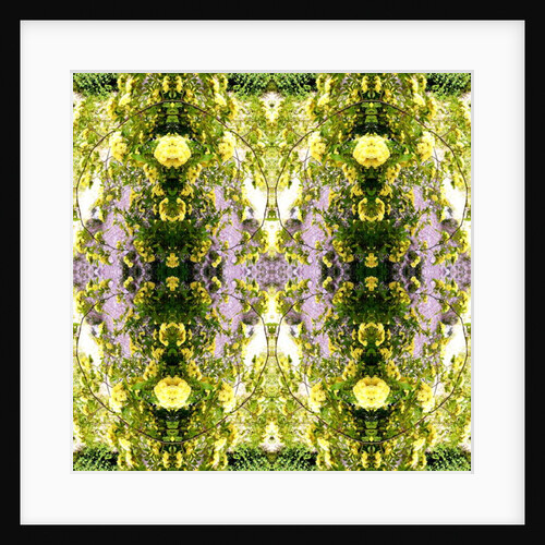 Unnatural 150 by Giovanni Cafagna