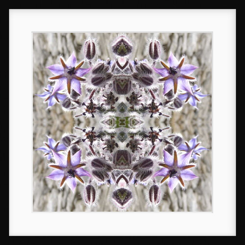 Unnatural 159 by Giovanni Cafagna