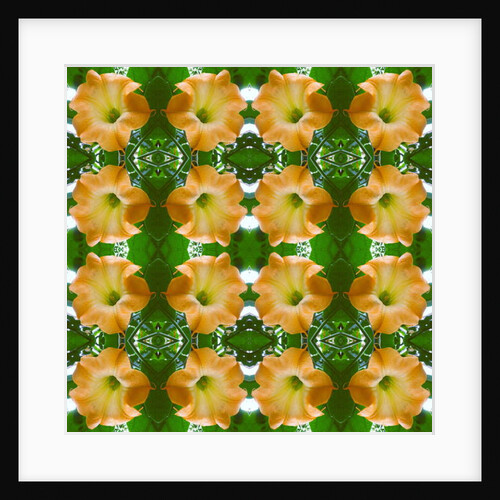 Unnatural 171.1 by Giovanni Cafagna