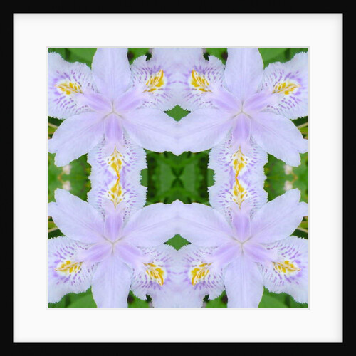 Unnatural 174 by Giovanni Cafagna