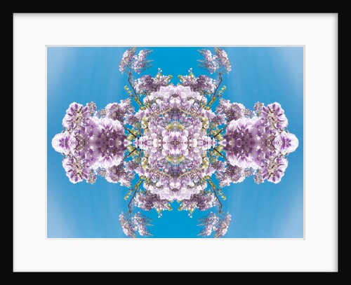 Unnatural 180 by Giovanni Cafagna