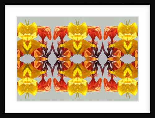 Unnatural 190 by Giovanni Cafagna