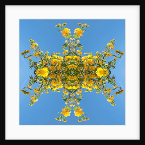 Unnatural 193 by Giovanni Cafagna