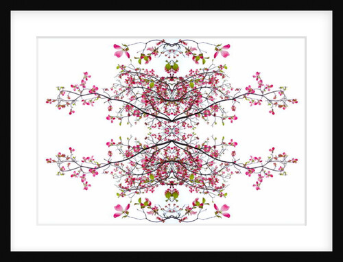 Unnatural 200 by Giovanni Cafagna