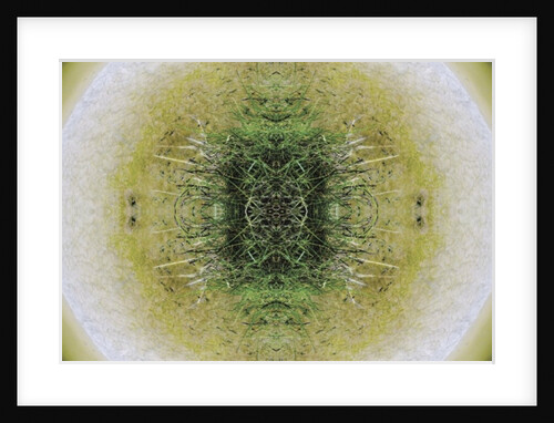Unnatural 6.1 by Giovanni Cafagna