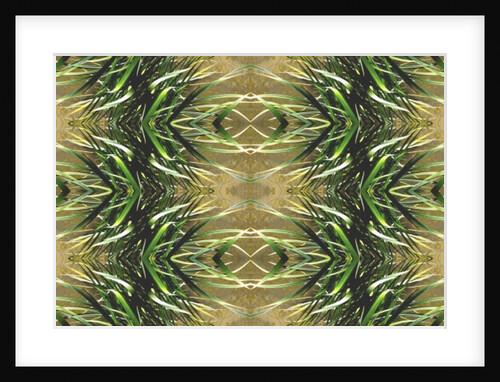 Unnatural 16 by Giovanni Cafagna