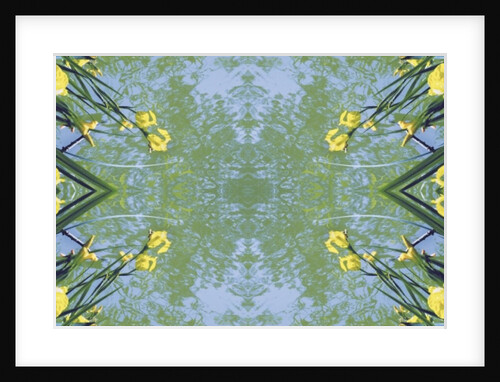 Unnatural 17 by Giovanni Cafagna