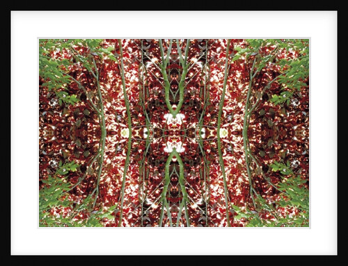 Unnatural 23 by Giovanni Cafagna