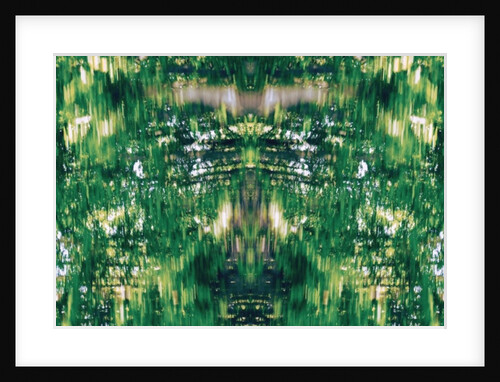 Unnatural 31 by Giovanni Cafagna