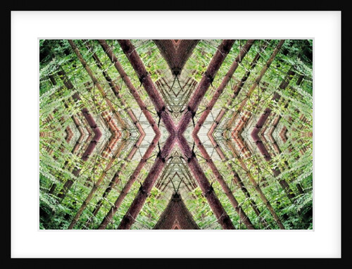 Unnatural 37 by Giovanni Cafagna