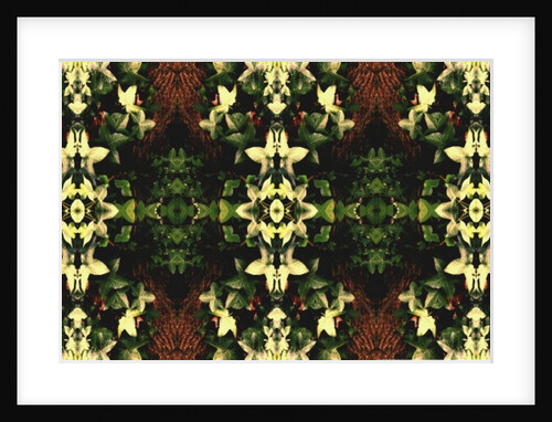 Unnatural 43 by Giovanni Cafagna