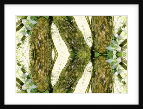 Unnatural 45 by Giovanni Cafagna