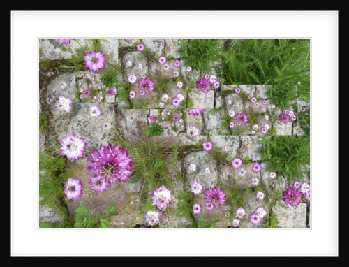 Unnatural 60 by Giovanni Cafagna