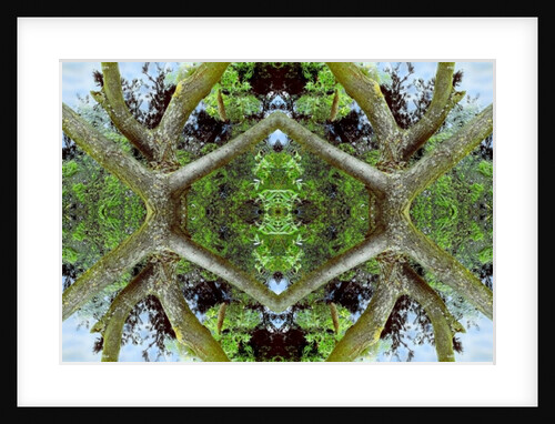 Unnatural 65.2 by Giovanni Cafagna