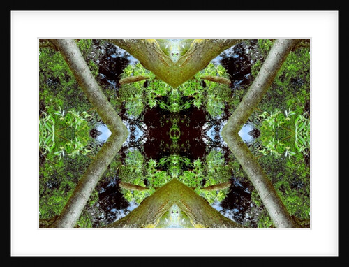 Unnatural 65.3 by Giovanni Cafagna