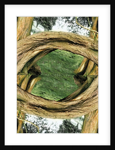 Unnatural 37 by Giovanni Cafagna