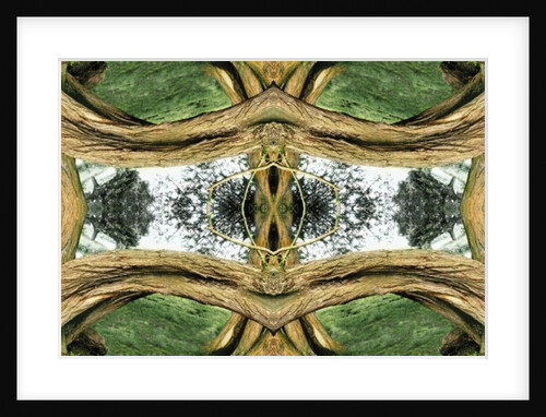 Unnatural 37 by Giovanni Cafagna
