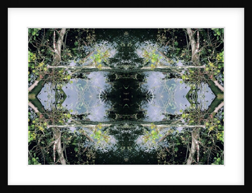 Unnatural 73 by Giovanni Cafagna