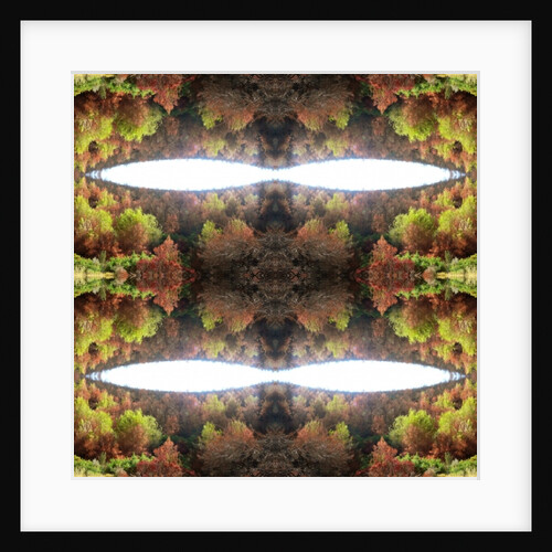 Unnatural 77.1 by Giovanni Cafagna