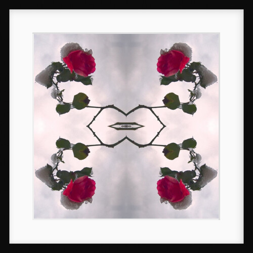 Unnatural 80 by Giovanni Cafagna