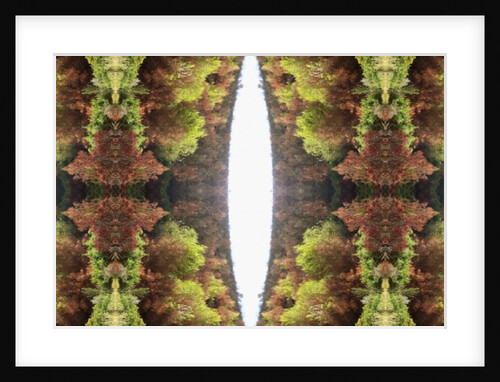 Unnatural 81 by Giovanni Cafagna