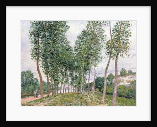The Avenue of Poplars along the Banks of the Loing, 1892 by Alfred Sisley